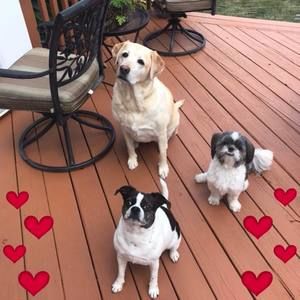 Meet your Posher, Kris